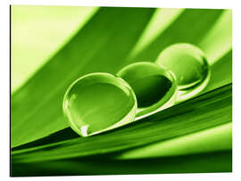 Aluminium print Water Pearls