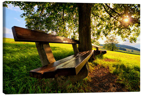 Canvas print Relaxing Under Trees