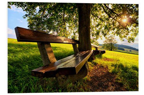 Stampa su PVC Relaxing Under Trees