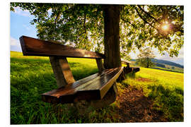 Foam board print Relaxing Under Trees