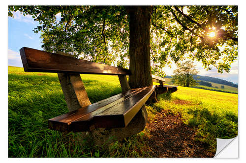 Selvklebende plakat Relaxing Under Trees