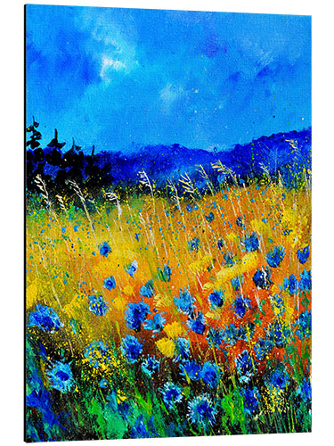 Aluminium print Romantic field of cornflowers