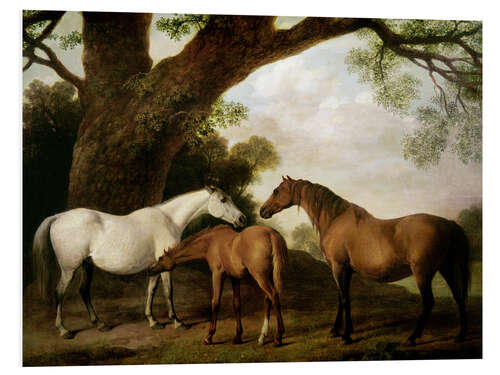 Foam board print Two Shafto Mares and a Foal