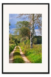 Gerahmter Kunstdruck Waldweg mit Birke