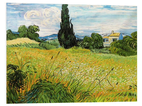 Foam board print Landscape with Green Corn