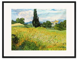 Gerahmter Kunstdruck Grünes Weizenfeld mit Zypresse