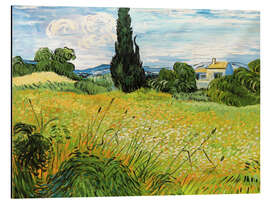 Magnettafel Grünes Weizenfeld mit Zypresse