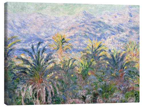 Tableau sur toile Palmiers à Bordighera