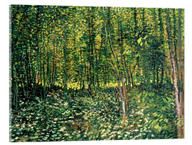 Akrylbillede Trees and Undergrowth - Vincent van Gogh