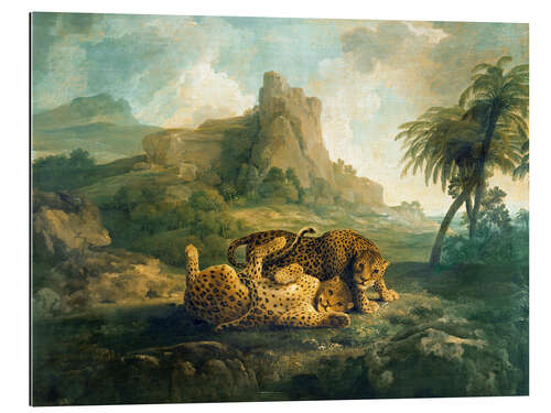 Gallery print Leopards at Play