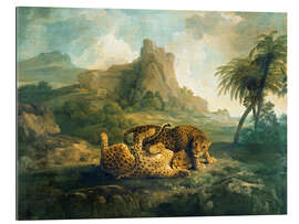 Gallery print Leopards at Play