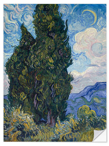 Selvklebende plakat Cypresses