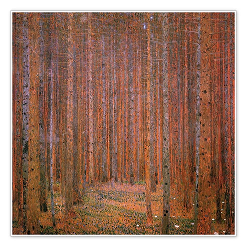 Poster Forêt de bouleaux en automne I