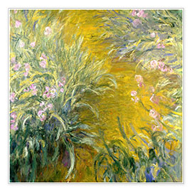 Wall print  Irises - Claude Monet