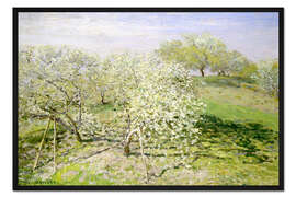 Gerahmter Kunstdruck Blühende Apfelbäume im Frühling
