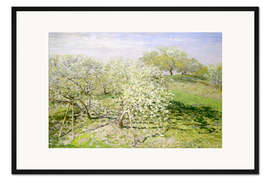 Gerahmter Kunstdruck Blühende Apfelbäume im Frühling