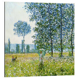 Magnettafel Felder im Frühling