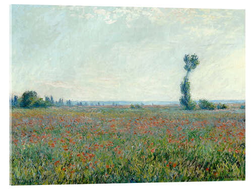 Acrylic print Field with poppies