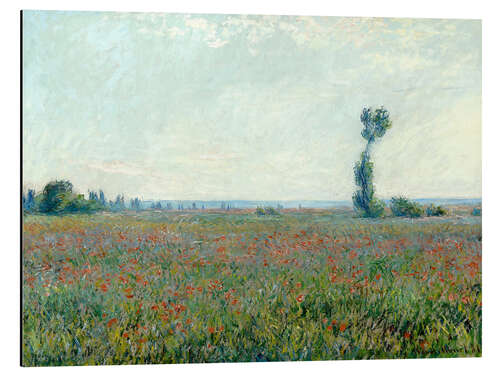 Obraz na aluminium Field with poppies