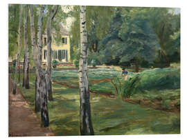 Foam board print Birch Avenue in the Wannsee Garden Facing West