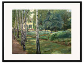 Gerahmter Kunstdruck Die Birkenallee im Wannseegarten nach Westen