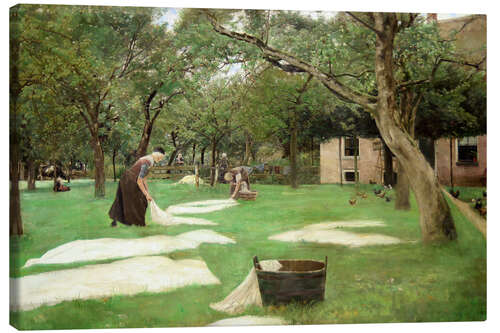 Canvas print Grass-Bleaching
