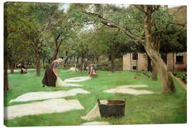 Canvas print Grass-Bleaching