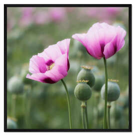 Gerahmter Kunstdruck 2 wie wir