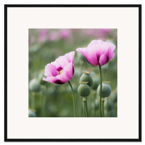 Framed art print 2 like us