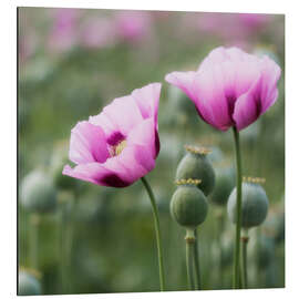 Magnettafel 2 wie wir