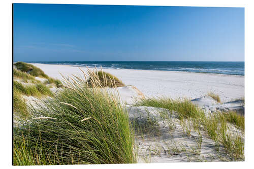 Quadro em alumínio Sylt, paisagem com dunas