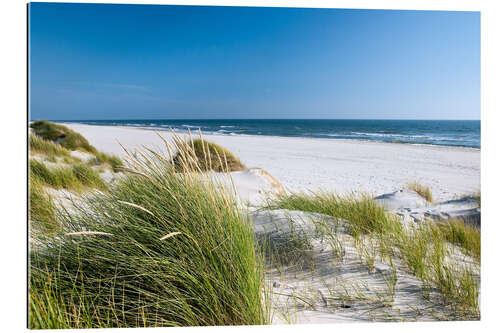 Galleritryck Sand dunes, seaside landscape