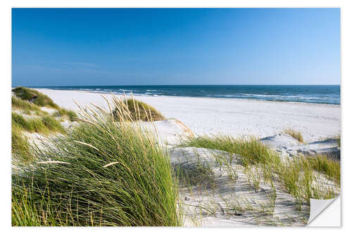 Wall sticker Sand dunes, seaside landscape