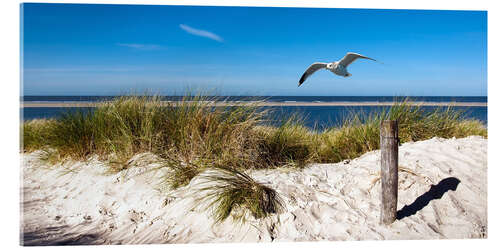 Akryylilasitaulu North Sea - Langeoog