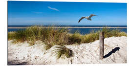 Gallery Print Nordsee - Langeoog