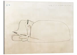 Magnettafel Schlummernde Katze