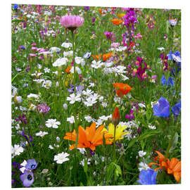 Foam board print Flowers meadow