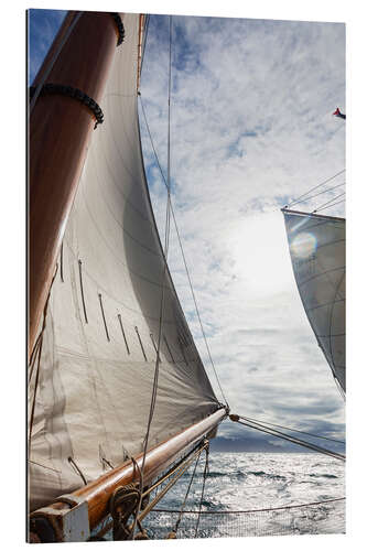 Gallery print Wind in the sails