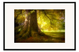 Gerahmter Kunstdruck Kraftort