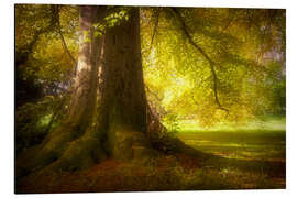 Magnettafel Kraftort