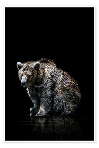 Poster Brown bear