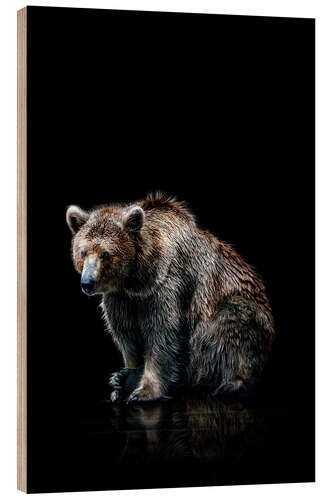 Wood print Brown bear