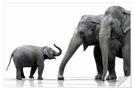 Sisustustarra Elephant Family