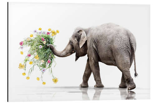 Tableau en aluminium Éléphant avec des fleurs