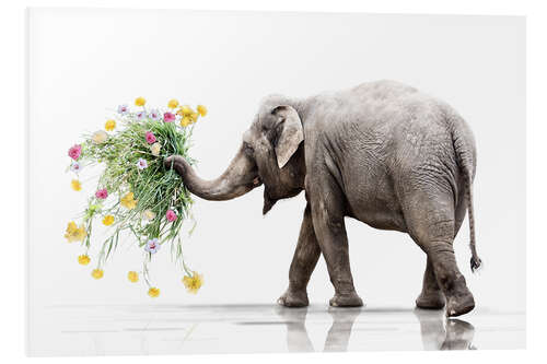 Bilde på skumplate Elefant med blomster