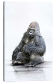 Tableau sur toile  Gorille assis - Werner Dreblow