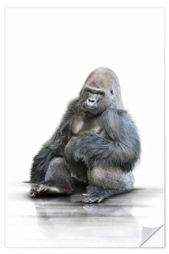 Wall sticker Gorilla