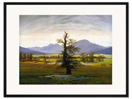 Gerahmter Kunstdruck Einsamer Baum