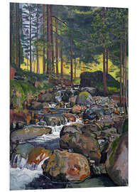 Foam board print Forest with Mountain Brook