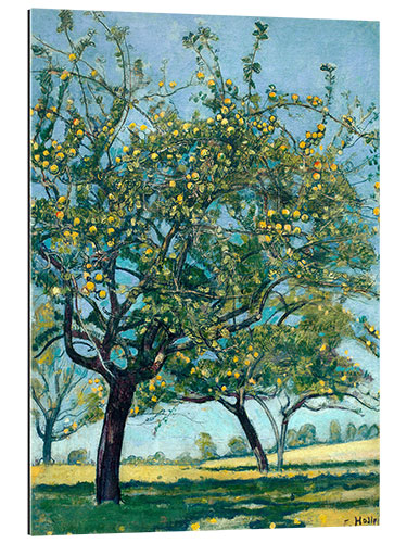 Gallery print Paddock with apple trees